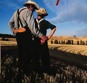 Nick and Mary Jane look out over the farm.