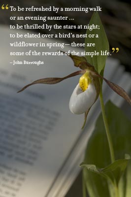 ladyslipper Lady Slipper, 'To be refreshed by a morning walk ... ' - John Burroughs